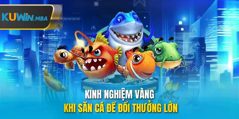 Kinh nghiệm vàng khi săn cá để đổi thưởng lớn